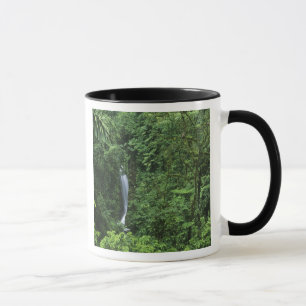 Costa Rica, Gebiet des Arenal Vulkans, Hängebrücke Tasse