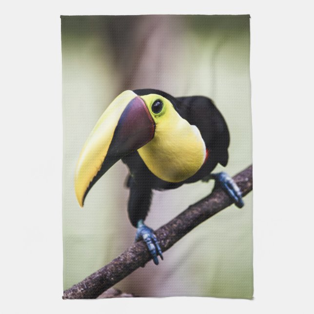 Costa Rica Geschirrtuch (Vertikal)