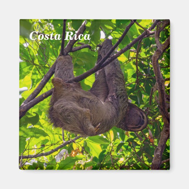 Costa Rica - glückliche Trägheit Magnet (Vorne)