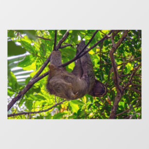 Costa Rica - Glückliches faules Faultier, Antonio Fensteraufkleber