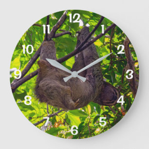 Costa Rica - Glückliches faules Faultier, Antonio  Große Wanduhr