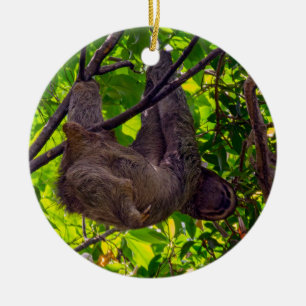 Costa Rica - Glückliches faules Faultier, Antonio Keramik Ornament