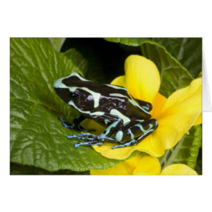 Costa Rica, Halbinsel Osa