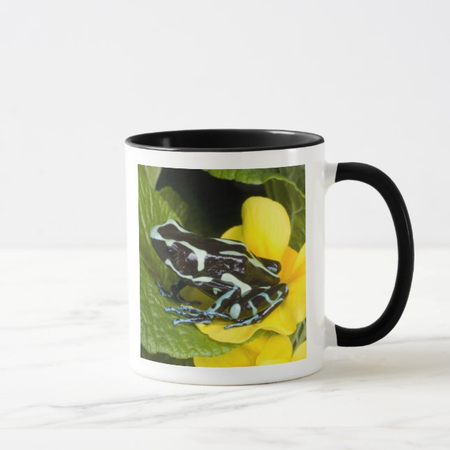 Costa Rica, Halbinsel Osa Tasse (Rechts)