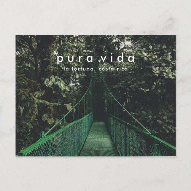 Costa Rica Hanging Bridges Canopy Postcard Postkarte (Vorderseite)