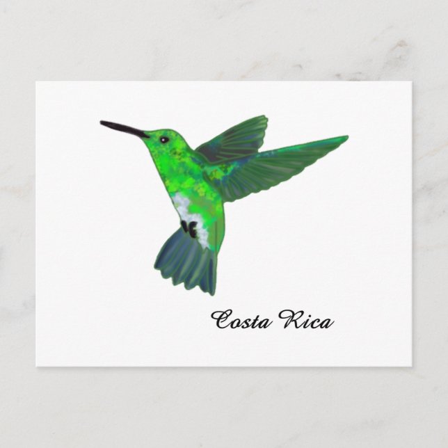 Costa Rica Hummingbird Postkarte (Vorderseite)