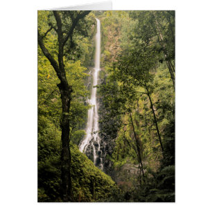 Costa Rica, île Cocos, cascade de Wafer Bay