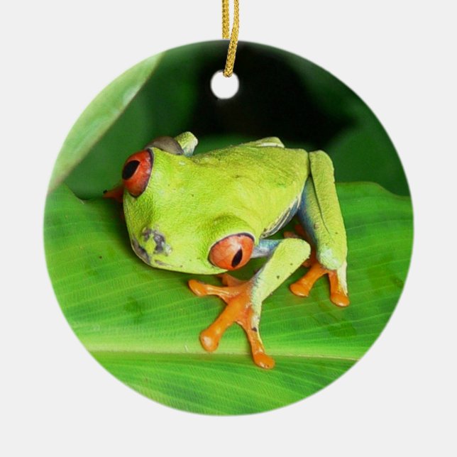 Costa Rica Keramikornament (Vorne)