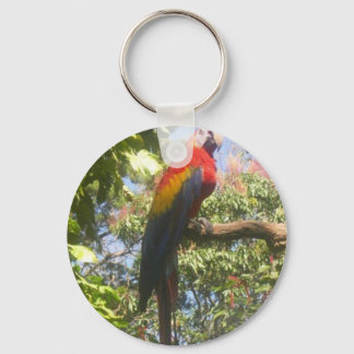 Costa Rica Macaw Schlüsselanhänger