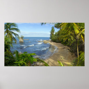 Costa Rica, Manzanillo Wildlife Refugium Poster