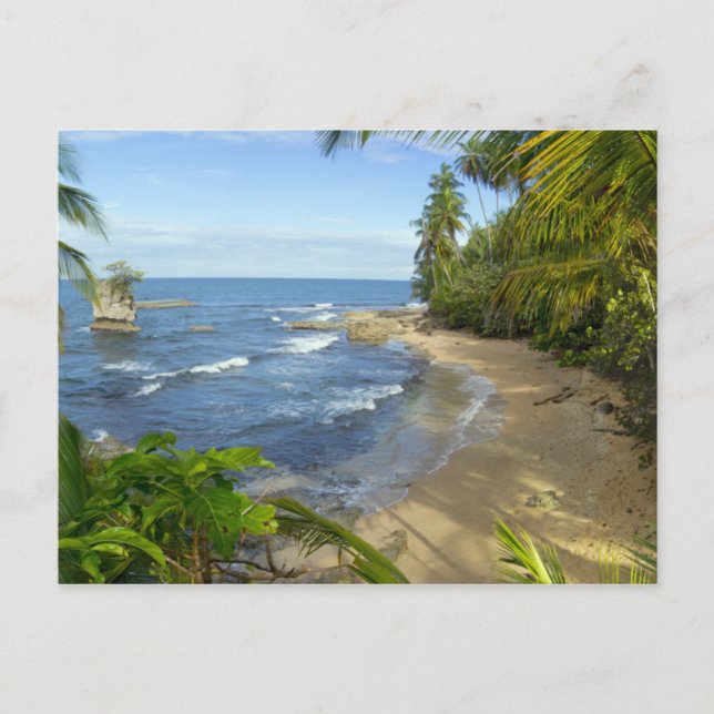 Costa Rica, Manzanillo Wildlife Refugium Postkarte (Vorderseite)