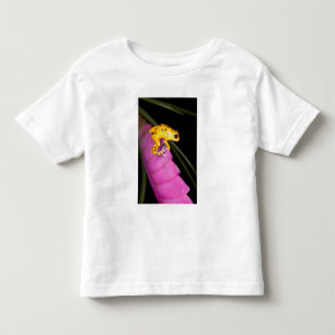 Costa Rica. Nahaufnahme eines Pfeilgiftfroschs Kleinkind T-shirt