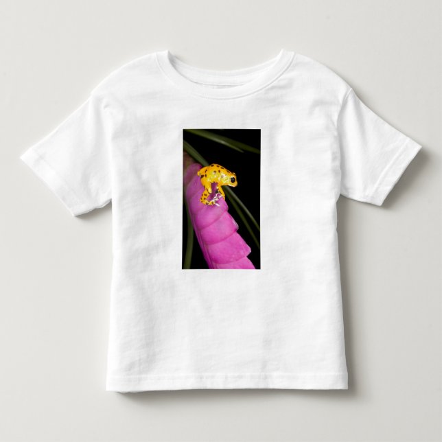 Costa Rica. Naher Giftdarmfrosch Kleinkind T-shirt (Vorderseite)