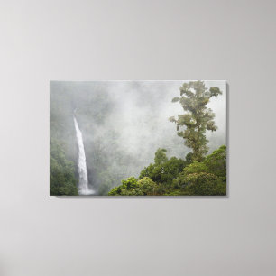 Costa Rica, Nebelwald in den Bergen bei La Leinwanddruck
