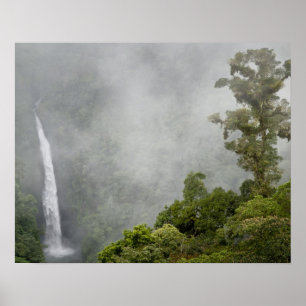 Costa Rica, Nebelwald in den Bergen in der Nähe v Poster