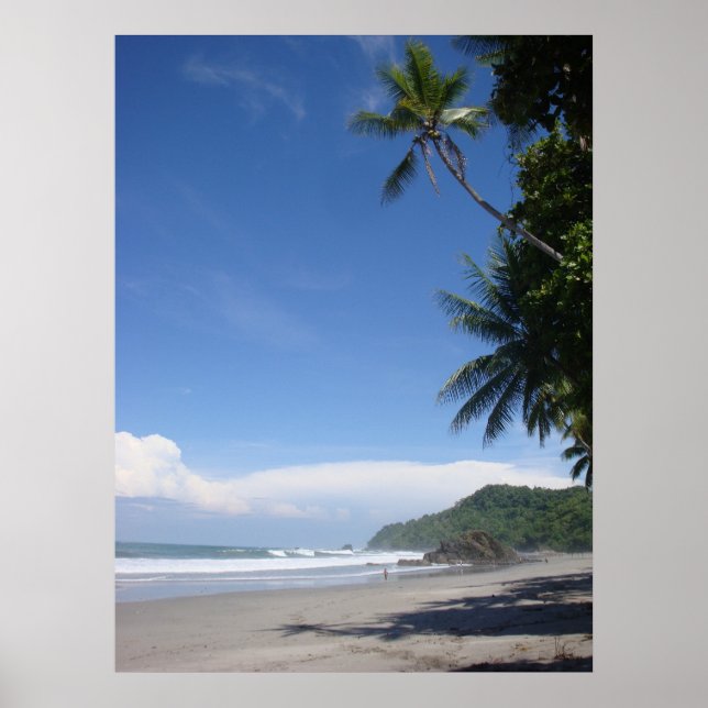 Costa Rica Palm #3 Poster (Vorne)