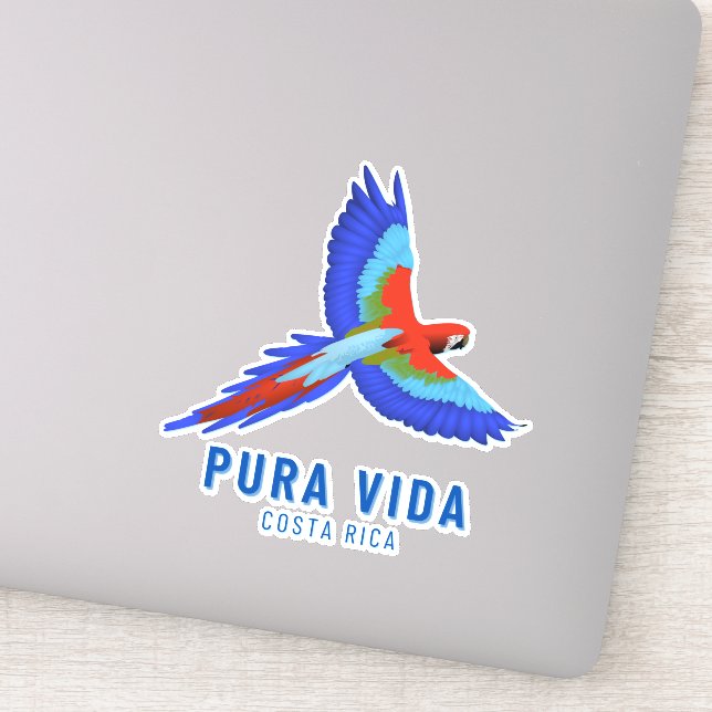 Costa Rica Parrot Farbiges Souvenir Aufkleber (Detail)