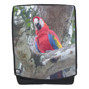 Costa Rica Parrot Jungle Oiseau Adulte Sac à dos