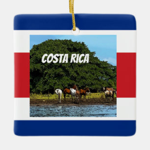 Costa Rica - Pferde am Wasser Keramikornament