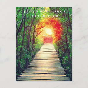 Costa Rica Playa Avellanas Mangrove Carte postale