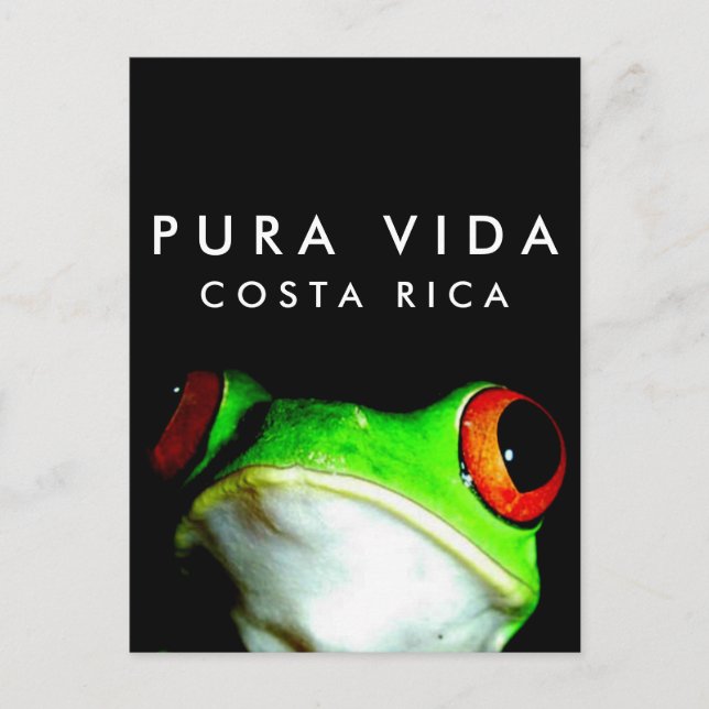 Costa Rica Pura Vida Tree Frog Postcard Postkarte (Vorderseite)