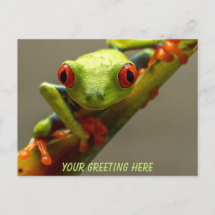 Costa Rica Red-Mit Augen Frog Personalisiert Postkarte