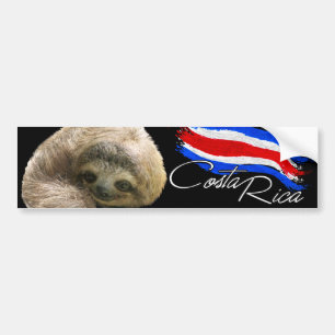 Costa Rica Sloth Autoaufkleber