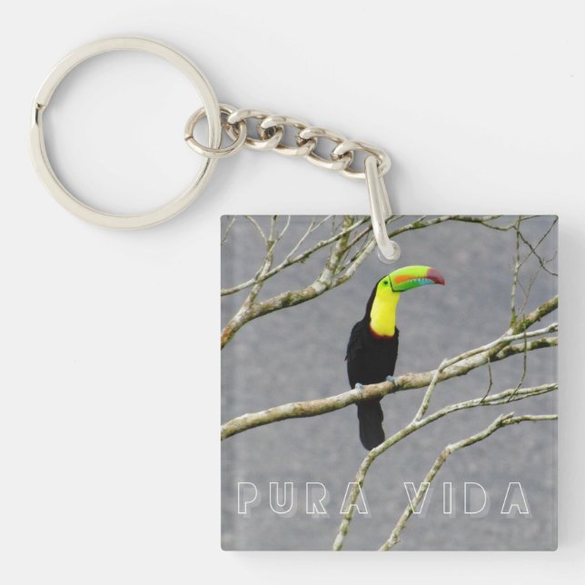 Costa Rica Souvenir Toucan  (Devant)