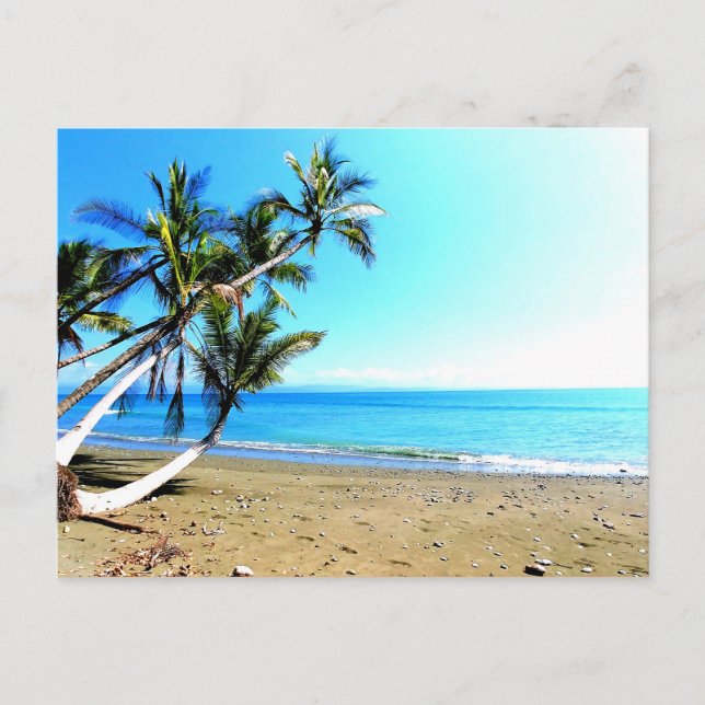Costa Rica, Strand mit Palmen Postkarte (Vorderseite)