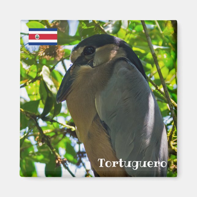 Costa Rica, Tortuguero - Bootsfahrer Magnet (Vorne)