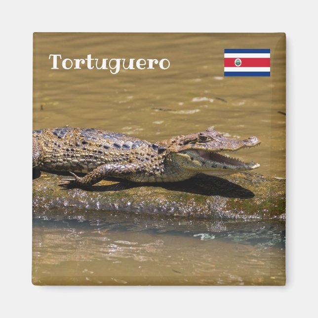 Costa Rica, Tortuguero - Krokodile fräsen Magnet (Vorne)