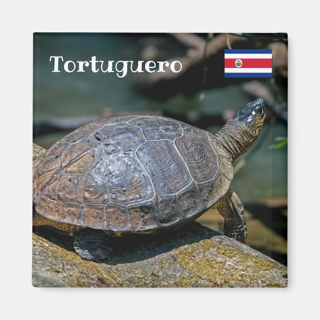 Costa Rica, Tortuguero - Turtle Magnet (Vorne)