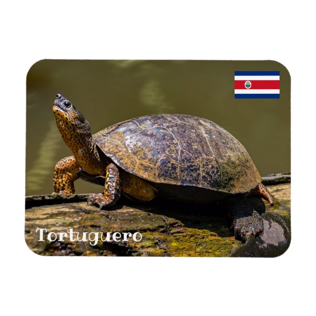 Costa Rica, Tortuguero - Turtle Magnet (Horizontal)