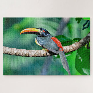 Costa Rica Toucan Jigsaw Puzzle