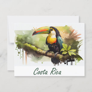Costa Rica Toucan Postkarte