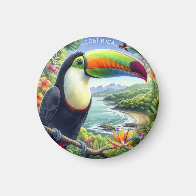 Costa Rica Toucans, Pura Vida Magnet (Vorne)