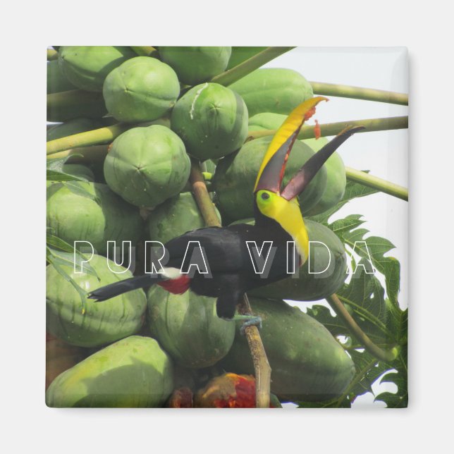 Costa Rica Tropical Toucan Purda Vida Magnet (Vorne)
