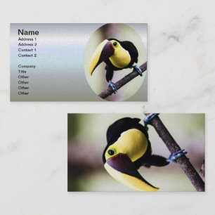 Costa Rica Visitenkarte