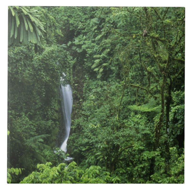 Costa Rica, Vulkangebiet Arenal, Hängebrücken Fliese (Vorderseite)