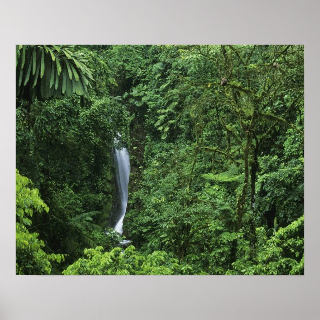 Costa Rica, Vulkangebiet Arenal, Hängebrücken Poster (Vorne)