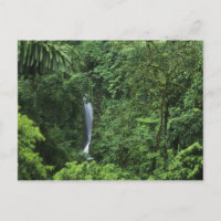Costa Rica, Vulkangebiet Arenal, Hängebrücken
