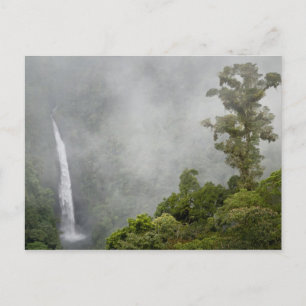 Costa Rica, Wolkenwald in den Bergen in der Nähe v Postkarte