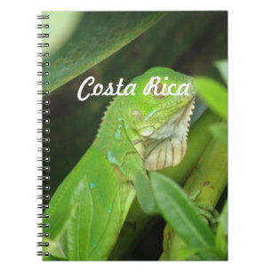 Costa Rican Eidechse Notizblock