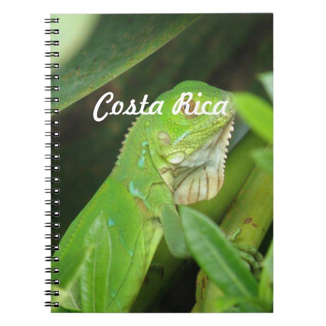 Costa Rican Eidechse Notizblock (Vorderseite)