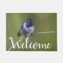 Costa's Hummingbird im August Fußmatte