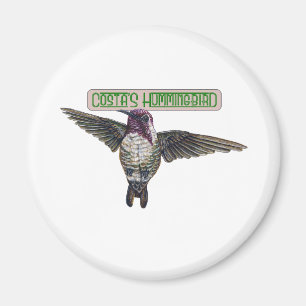 Costas Hummingbird mit Banner Magnet