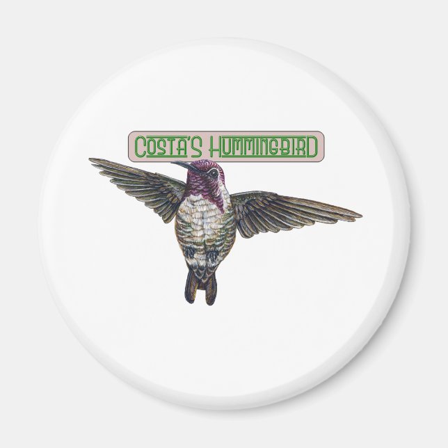 Costas Hummingbird mit Banner Magnet (Vorne)