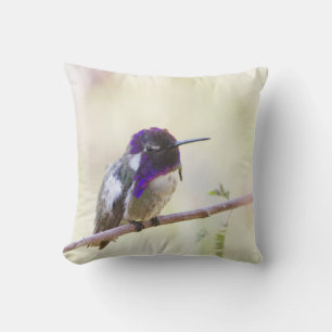 Costa's Hummingbird steht auf einem Zweig Kissen