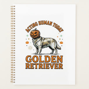 Costume de chien Citrouille de Halloween pour Gold