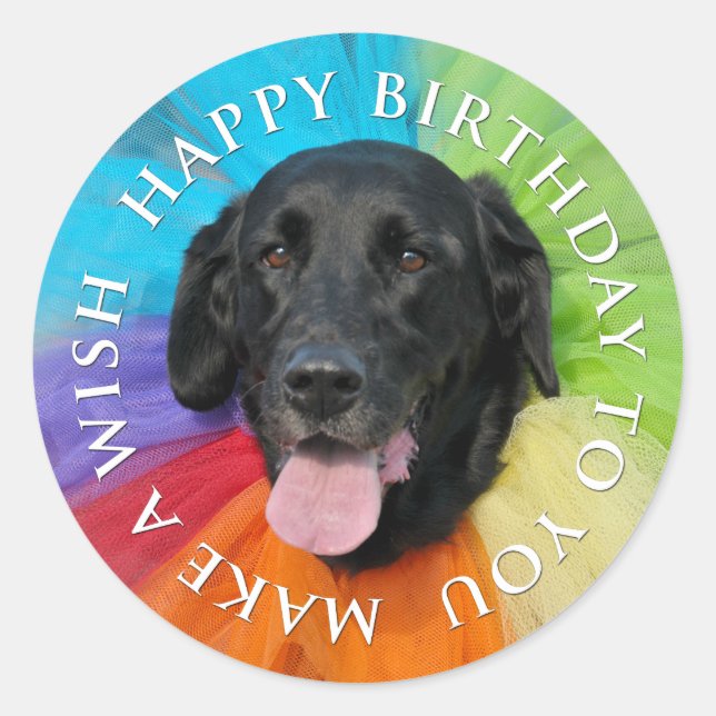 Costumed Black Lab Happy Birthday Runder Aufkleber (Vorderseite)